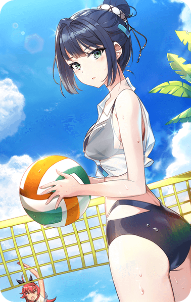 Official Levulin Beach Volleyball